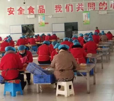 凝聚巾帼力量，助力脱贫攻坚——南阳市“巧媳妇”基地业务培训系列展示（十二）